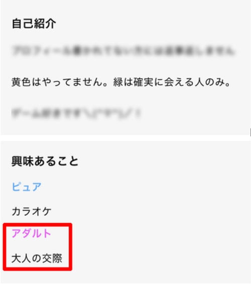 ワクワクメールのプロフィール-006