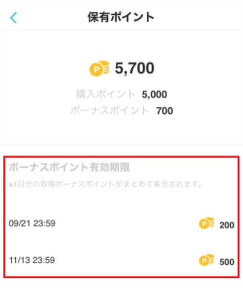 YYC(ワイワイシー)のポイントの有効期限-001